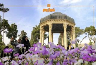 راهنمای جامع سفر به شیراز با اقامت در شیرازروم 