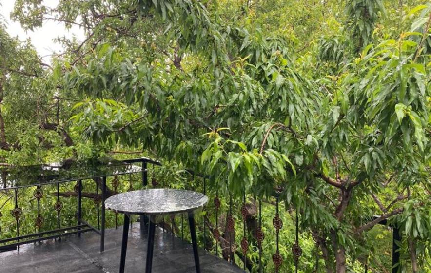 کلبه سوئیسی واقع در بیضا 2