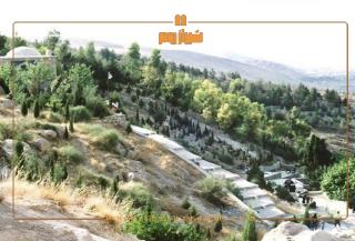 برنامه سفر 5 روزه به شیراز؛ یک برنامه کامل و کاربردی 