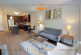 باید و نبایدهای انتخاب خانه مبله در شیراز 