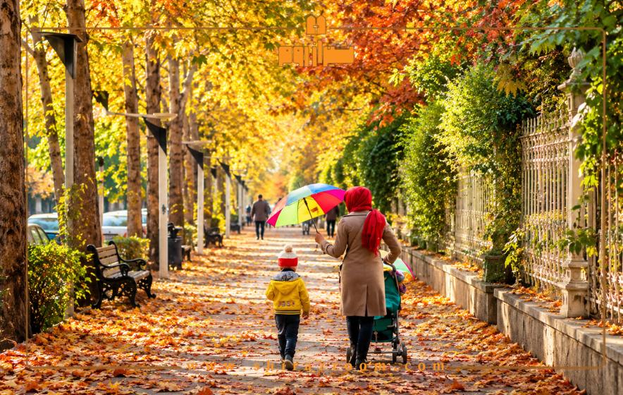 15 جای دیدنی شیراز در پاییز که نباید از دست بدهید 