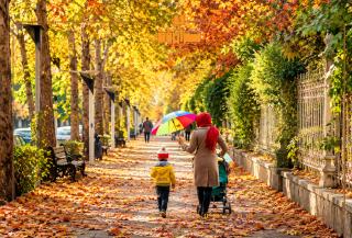 15 جای دیدنی شیراز در پاییز که نباید از دست بدهید 